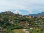 Nuwara Eliya City Flat Land