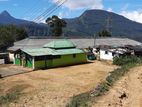 Nuwara Eliya - Tea Factory for sale