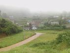 Nuwara Eliya Valuable Land of Sale