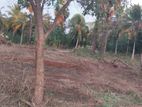 Land for Sale in Anuradhapura