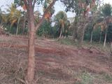 Land for Sale in Anuradhapura