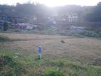 Nuwaraeliya city land for sale
