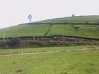 Nuwaraeliya land for sale Deram
