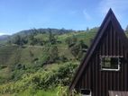 Nuwaraeliya road Chariot path