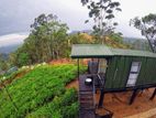 Nuwaraeliya road pundaluoya