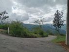Nuwaraeliya Road Pundaluoya Land for Sale