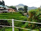 Nuwaraeliya Roos/ Bungalow