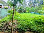 නවගමුව නගරයෙන් වටිනා ඉඩමක් විකිණීමට