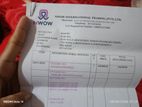 NWOW E Bike 2026