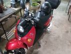 NWOW TK 10 2024