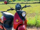 NWOW TK 10 2025