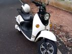 NWOW TK 10 2025