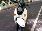 NWOW TK 10 2025