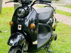 NWOW TK 10 2024