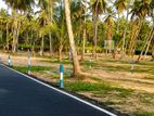 නයිවල දිවුලපිටිය බස් පාරෙන් නේවාසික බිම්කොටස්