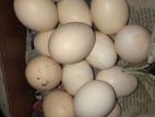 Red Eggs