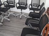 Office Chairs