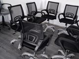 Office Chairs