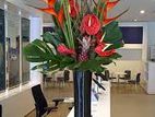 Office Flower Arrangement Work - Maharagama