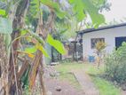 Old House with Land for Sale – Piliyandala (Siddamulla)