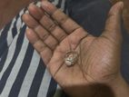 Old Silver Ring 9.38g