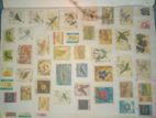 OLD Sri Lankan Stamps