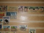 Old Stamps Album
