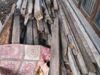 Old Wood