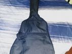 Olive Tree Guitar