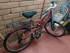 Olympia Shimano Bicycle