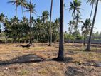 On the Beach 200 Perches Land for Sale in Negombo