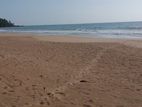 On the Beach Land for Sale in Balapitiya /ahungalla –code Add 65