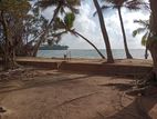 On the Beach Land for Sale in Beruwala 30 Perches.