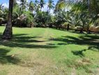 On the Beach Land for sale in Hikkaduwa
