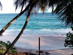 On the Beach Land for Sale Inj Tangalle –Code Add 800