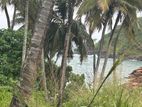 On the Ebach Land for Sale in Matara District –code Add 740