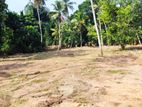 One Acre Land for Rent Near Kottawa