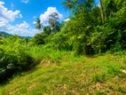 One acre land for sale in Weweldeniya, Pahalagama (SSPL-502)