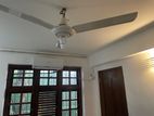 One Bed Room Annex for Rent Colombo 04