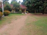 One Bedroom House for Rent in Raddoluwa