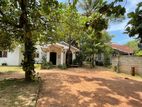 Beautiful Villa Property With Garden for rent in Negombo