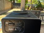 Under-Seat Active Car Subwoofer
