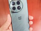OnePlus 12 16GB / 512GB (Used)