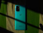 OnePlus 8T 5G (Used)