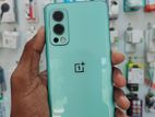 OnePlus Nord 2 2023 (Used)