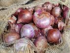 Onions