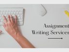 Online Assignment Support Service