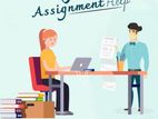 Online Assignment Support Service