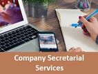 Online Company Secretarial Services