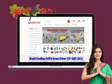 Online Shopping Website Designing and Developing
